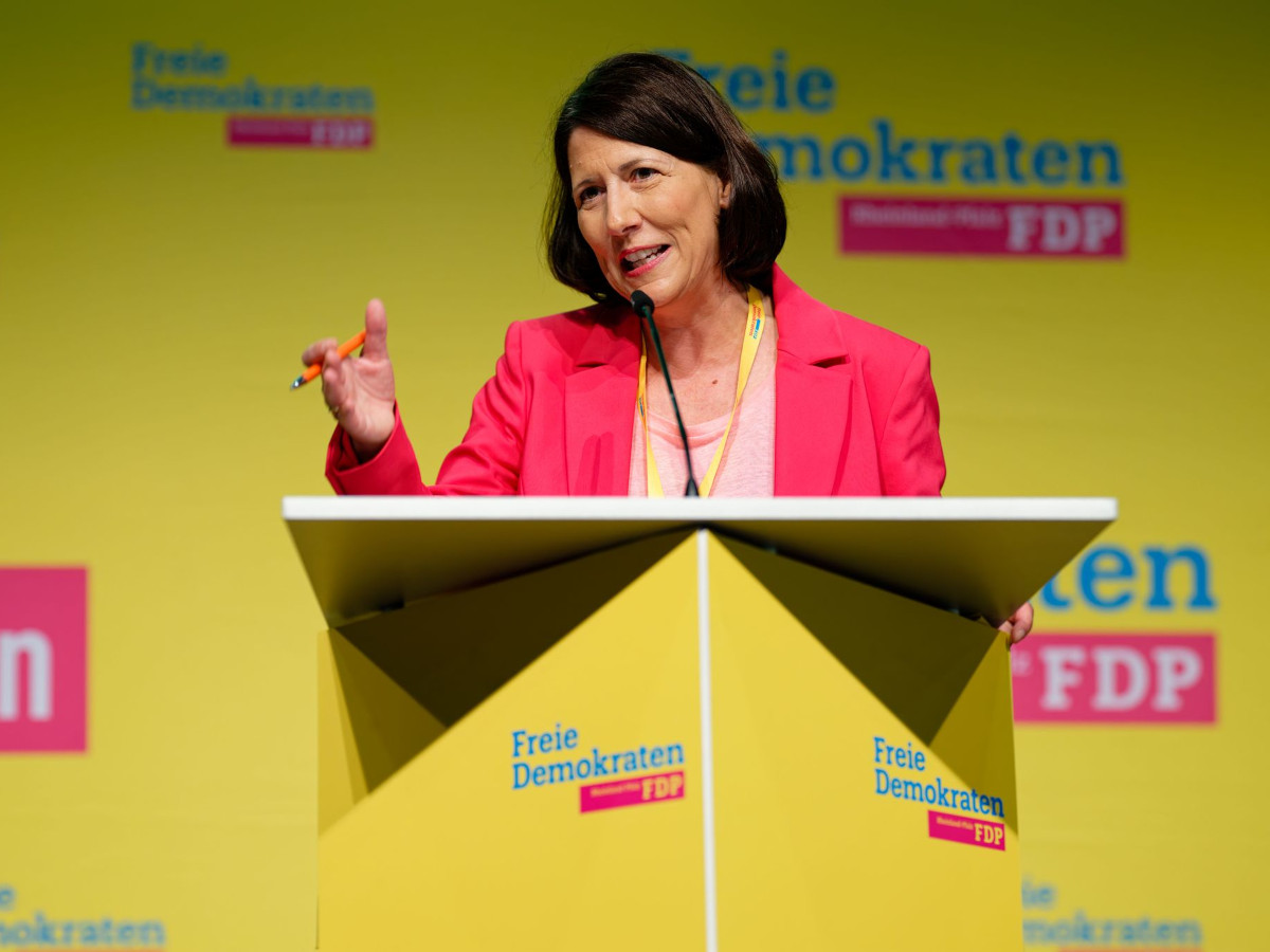 FDP Rheinland-Pfalz plant "Handwerksgymnasium" fr die Zukunft