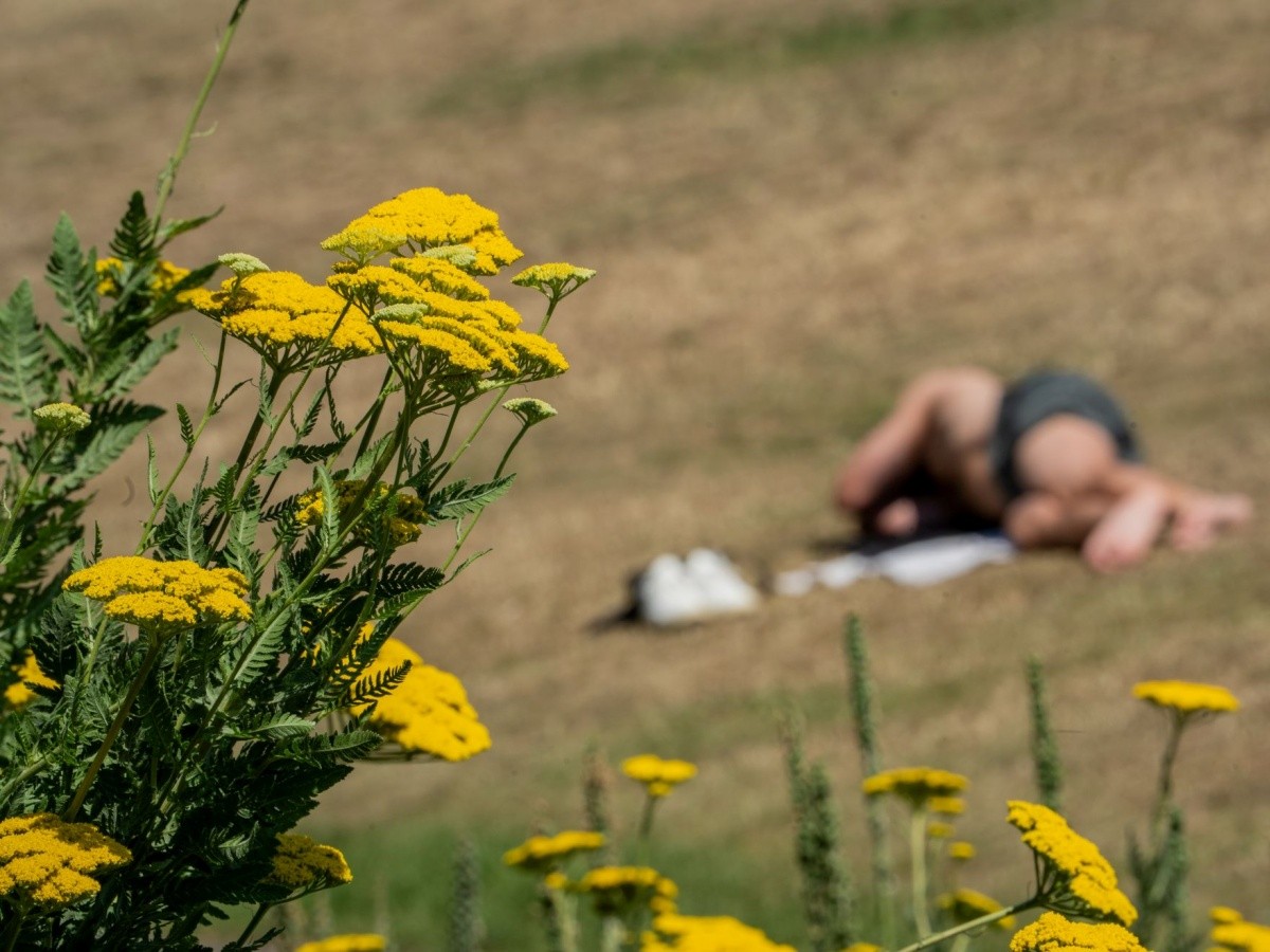 (Foto: Andreas Arnold/dpa)