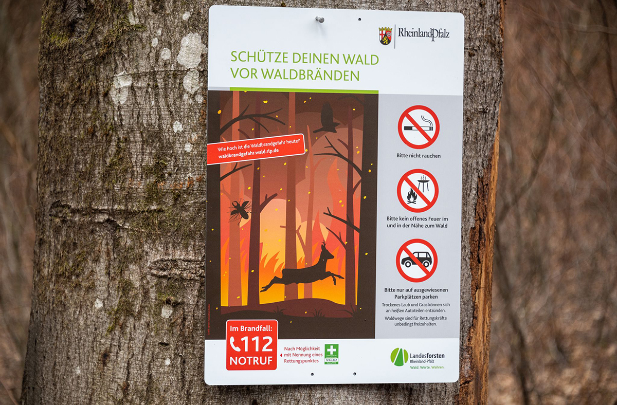 Waldbrandgefahr. Foto: Harald Tittel/dpa