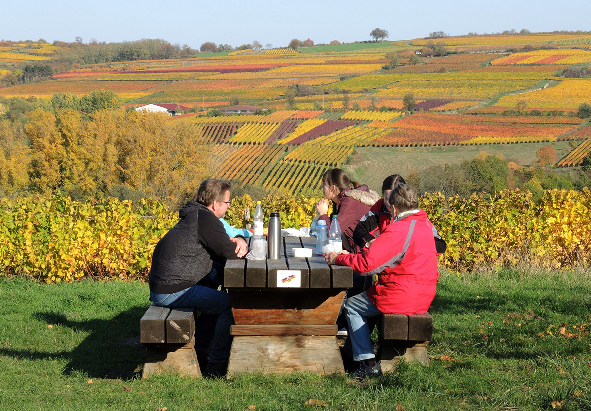Rheinhessische Weinberge im Herbst. Foto: Roland Holschneider/dpa