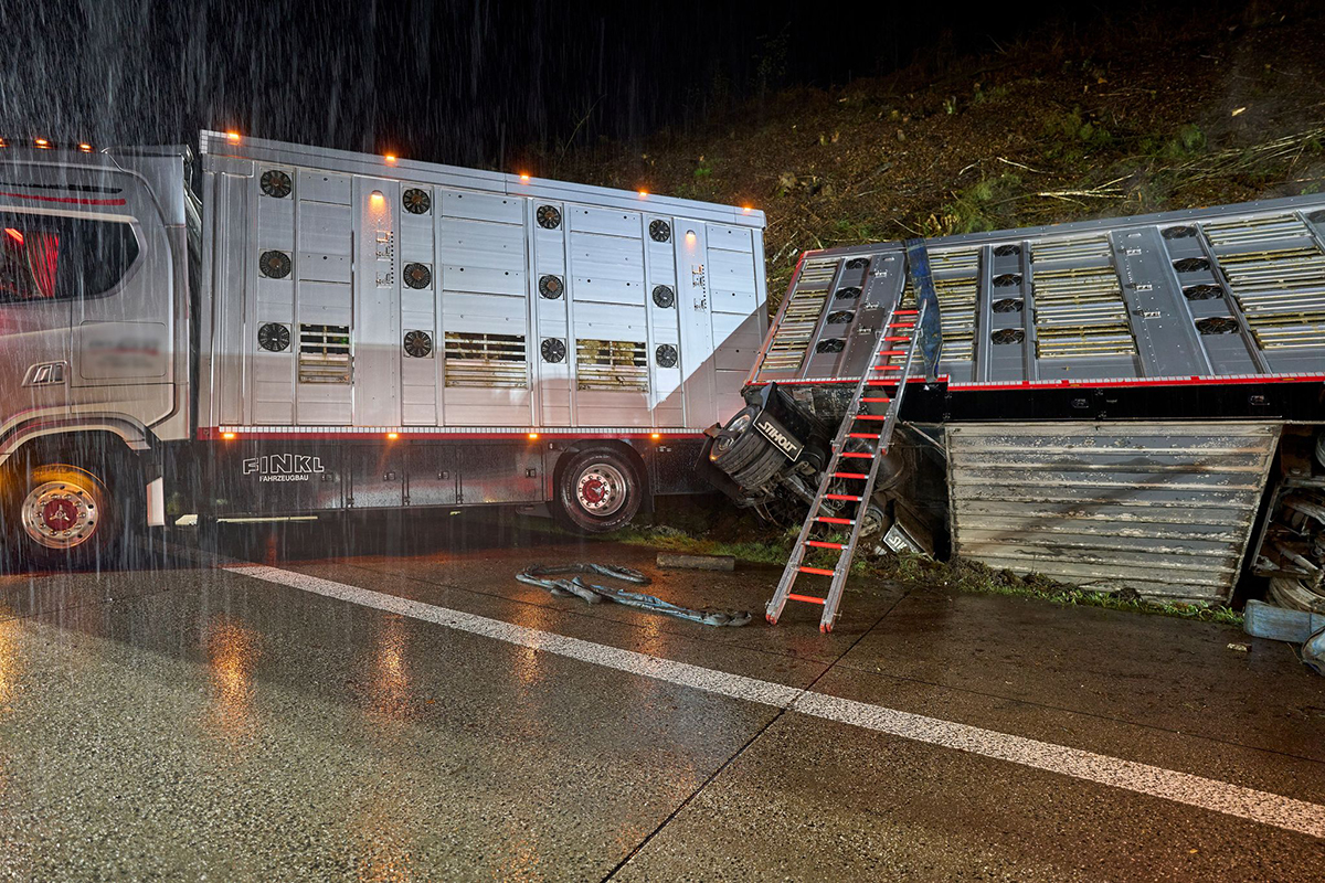 Tiertransporter verunfallt auf der A3 bei Ransbach-Baumbach. Foto: Sascha Ditscher/dpa