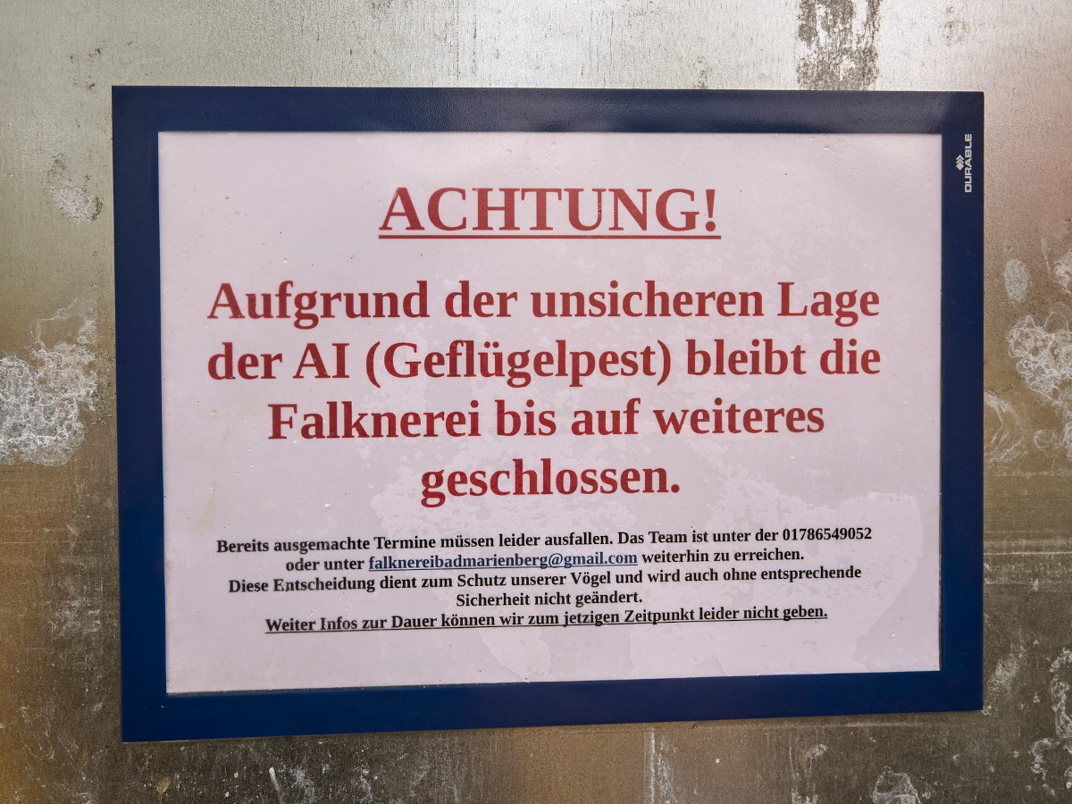 H5N1 im Visier: Welche Landkreise in Rheinland-Pfalz besonders betroffen sind