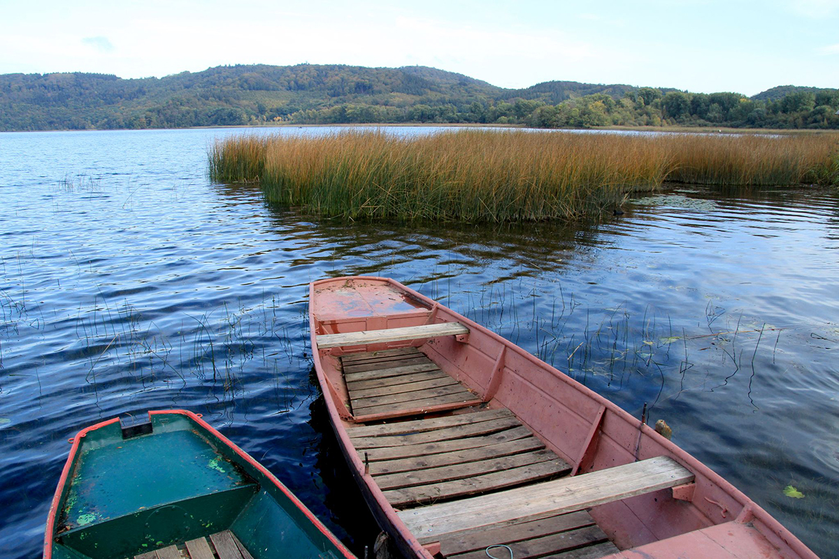 Der Laacher See. Foto: Bernd F. Meier/dpa-tmn/dpa