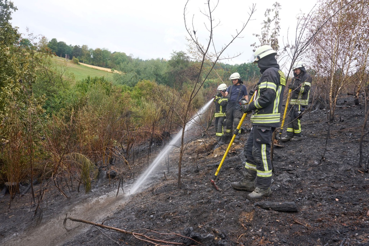Waldbrand im Westerwald (Foto: Thomas Frey/dpa)