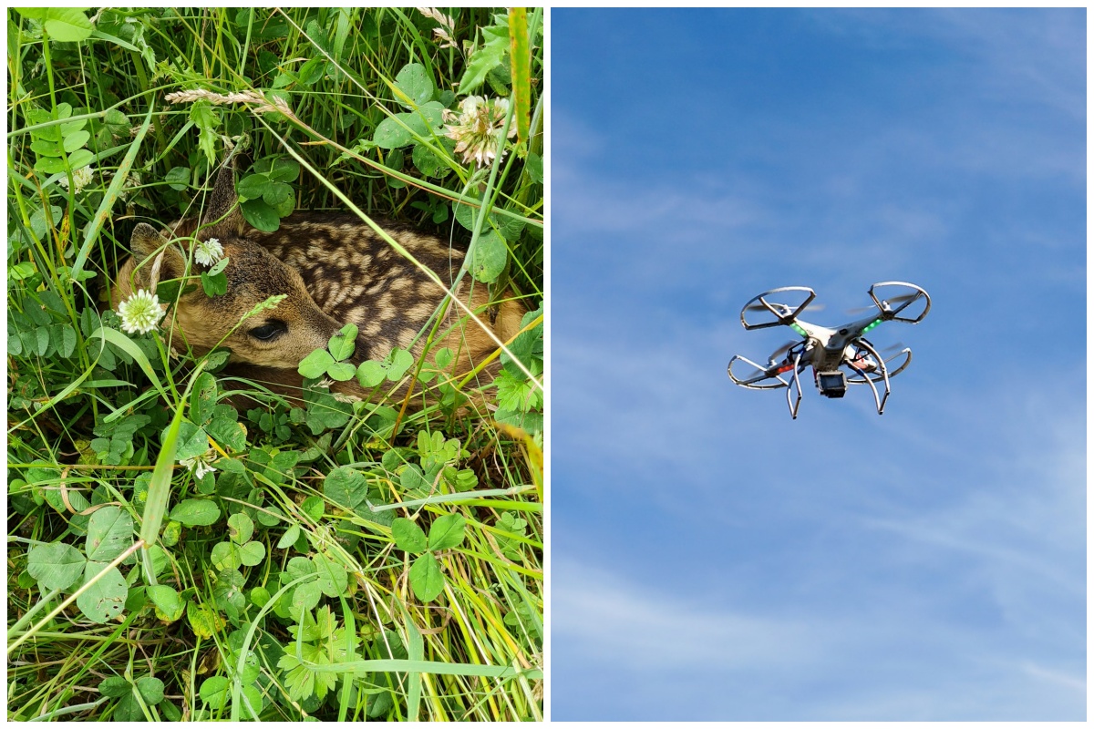 Hegering Puderbach: Drohne zum Schutz von Rehkitzen auch für Landwirte