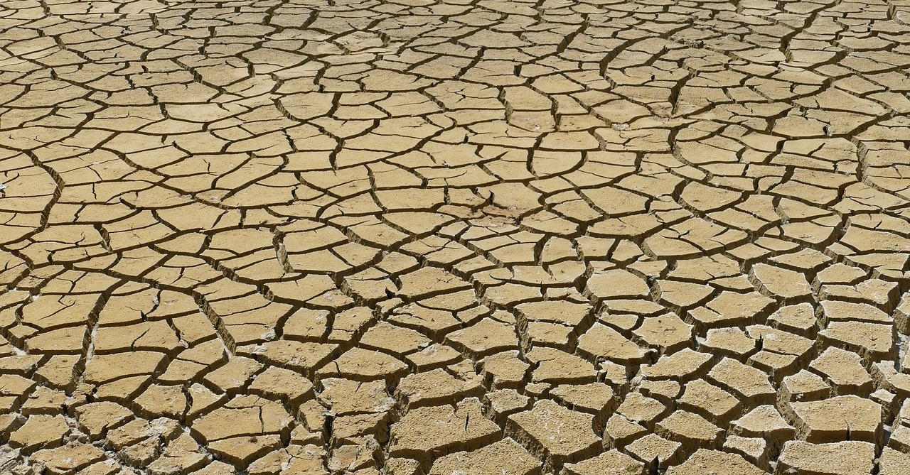 Bauern- und Winzerverband: Dürre gefährdet Versorgungslage