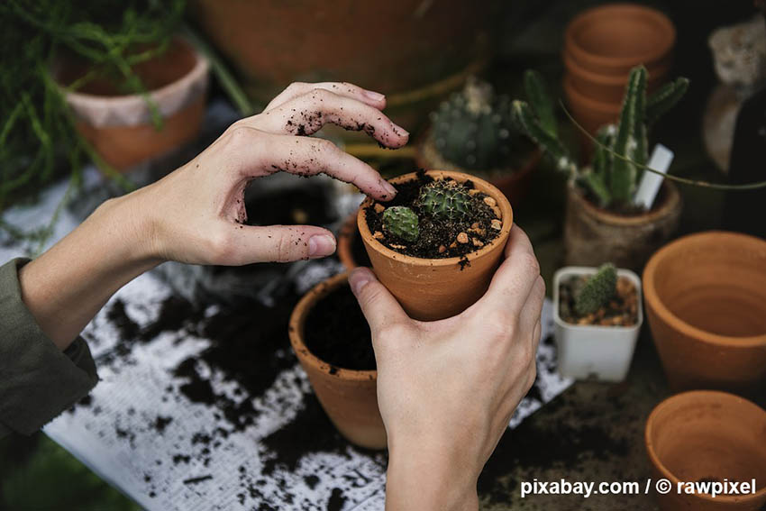 Ein bisschen Liebe zur Handarbeit gehrt zu jeder Gartengestaltung dazu. Foto: pixabay.com /  rawpixel