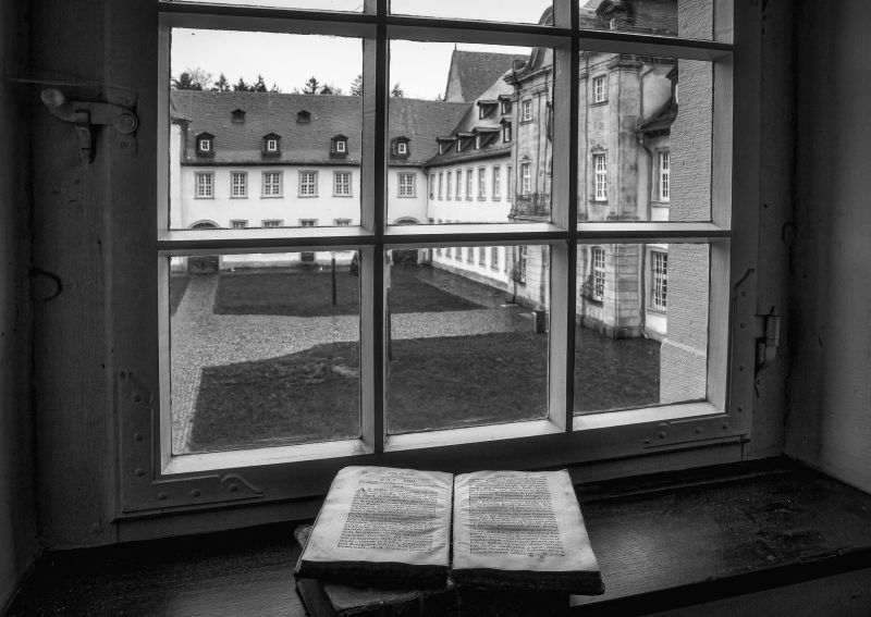 Blick ins Innere - Ansichten der Klosterbibliothek Marienstatt