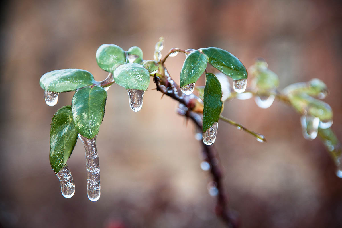 Unwetterwarnung: Gefrierender Regen im Westerwald