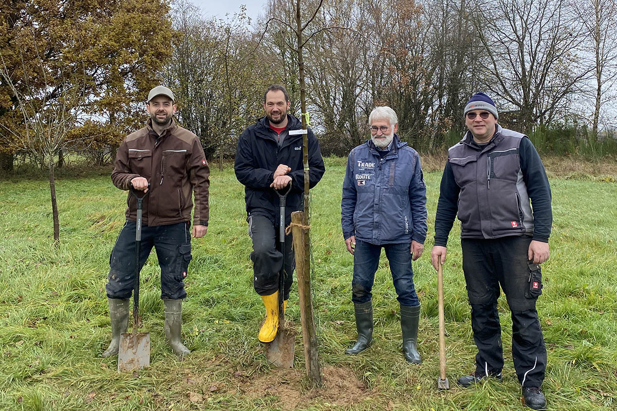 Neue Obstbume fr die Streuobstwiese in Elgert