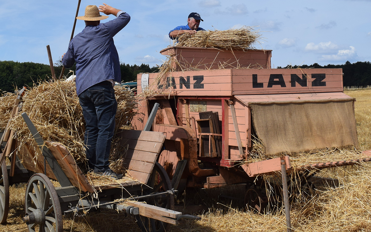 Beim Museumsfest wir die historische Lanz Dreschmaschine vorgefhrt. (Foto: Landschaftsmuseum Westerwald)