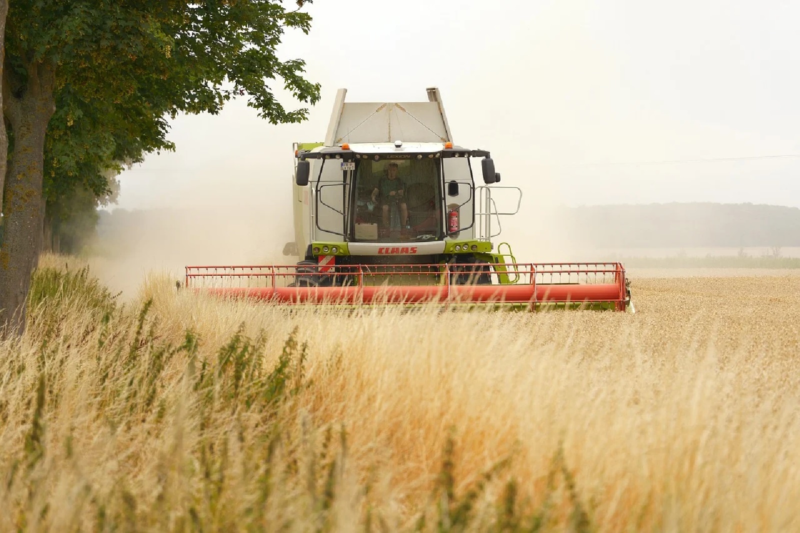 Herausfordernde Ernte 2026: Landwirte in Rheinland-Pfalz unter Druck
