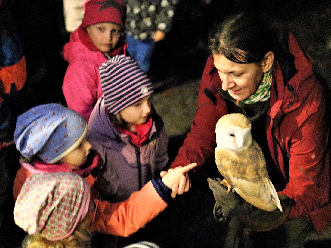 Alle Kinder durften am Ende der nchtlichen Waldexkursion die Schleiereule Charly streichen. (Foto: Uli Schmidt / Quelle: Westerwaldverein Buchfinkenland) 