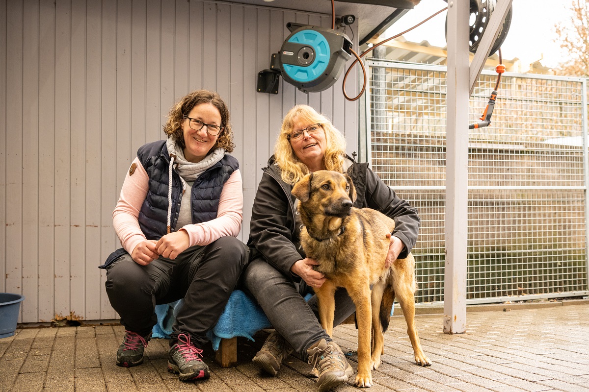 Der Verein Glckshunde e.V. in Ransbach-Baumbach hat bei der Vereinsfrderaktion Energieschub der evm im letzten Jahr den ersten Platz belegt und freut sich ber die finanzielle Untersttzung fr den Neubau des Tierheims.  (Foto: Sascha Ditscher/evm)