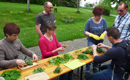 Kruterkunde im Mittelalter - Exkursion in Horhausen