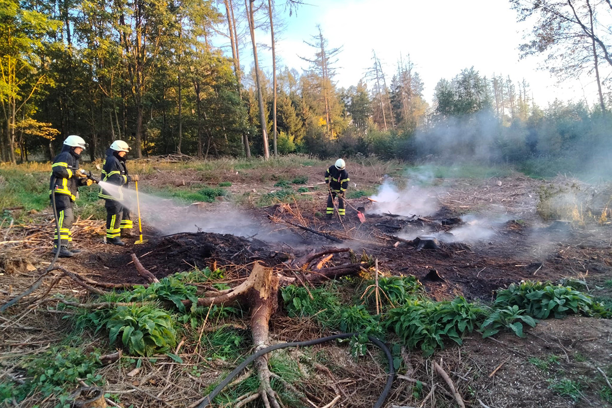 Flchenbrand im Wald bei Oberdreis