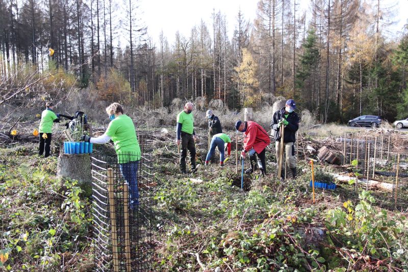 Baumpflanzaktion im Gemeindewald von Mrlen. Fotos: privat 