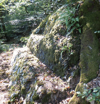 Die "Frstenbank" bleibt fr Wanderer zugnglich, auch wenn sie nicht ins offizielle Wanderwegenetz aufgenommen wird. Fotos: Verwaltung