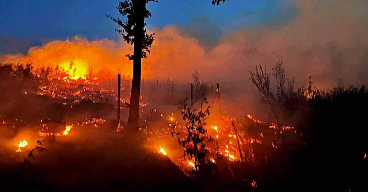 Ein Waldgebiet in Alsdorf ist am Abend des 9. August in Brand geraten. (Foto: Feuerwehr)