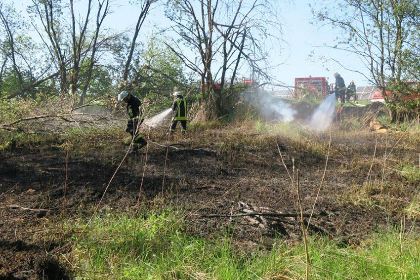 Feuerwehren lschen greren Flchenbrand in Oberdreis