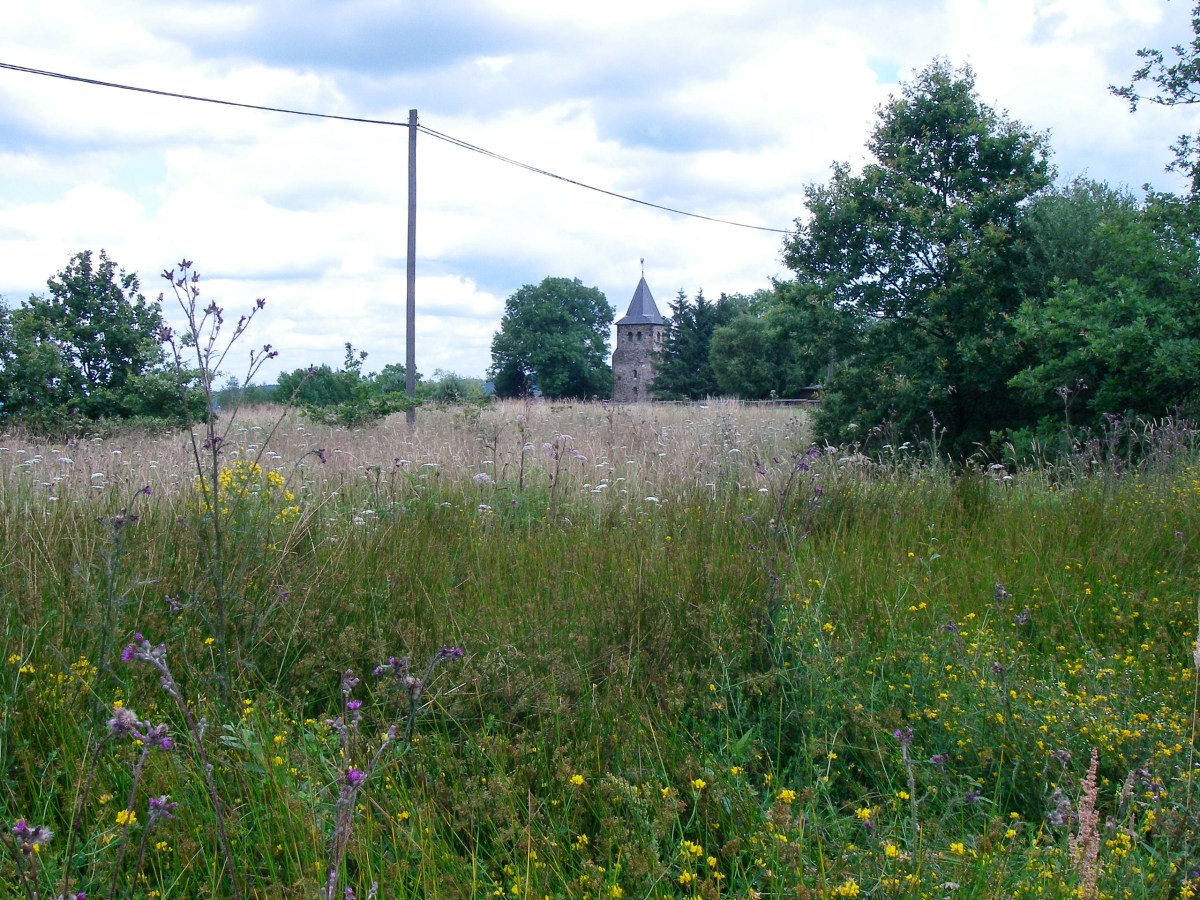 Naturschutzreferent zu Ortsumgehungen B8: "Fragwrdige und abzuweisende Projekte"