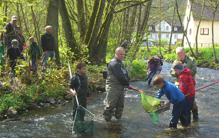 Fische fangen und bestimmen in der Asdorf. Foto: BUND