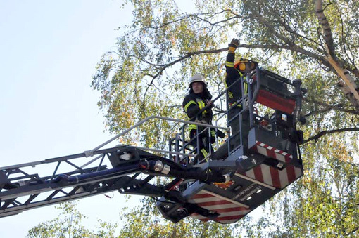 Drehleiter-Einsatz in Rott: Ast drohte auf die Strae zu strzen 