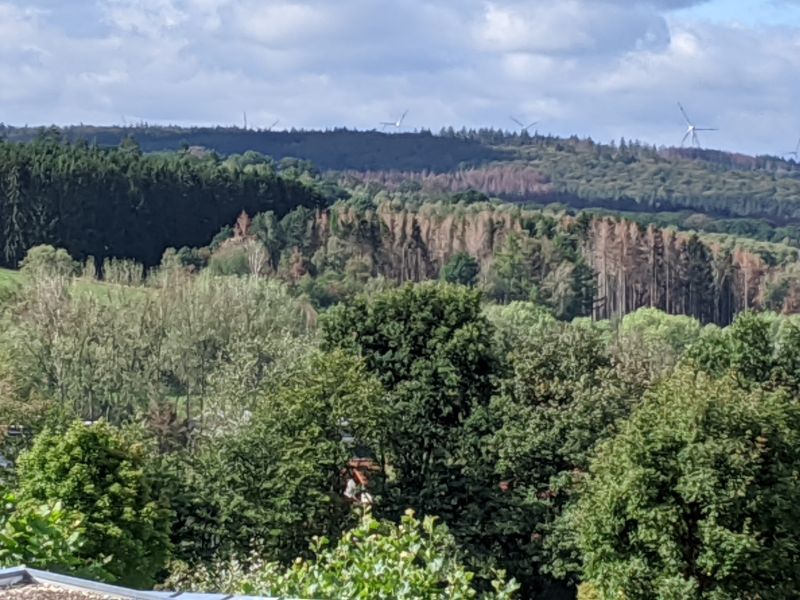 Zukunft fr den Hachenburger Stadtwald ermglichen