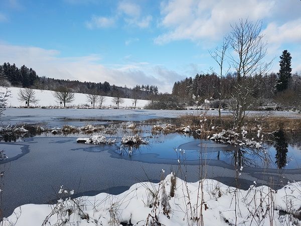 Zauberhafte Winterlandschaft am Biberweiher in Freilingen. Foto: NI