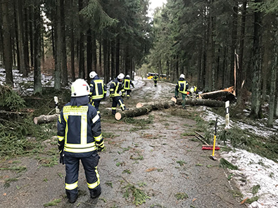 Lschzug Steinebach bis abends im Einsatz