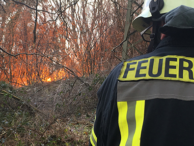 Zwischen Dnebusch und Pirzenthal wurde eine Stromleitung durch umstrzende Bume beschdigt und zu Boden gerissen. Der Waldboden brannte dort. Fotos: Feuerwehr