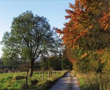 Die Vertreter der Naturschutzverbnde aus dem Westerwaldkreis und dem Landkreis Altenkirchen trafen sich zum Meinungsaustausch. Foto: Borowski