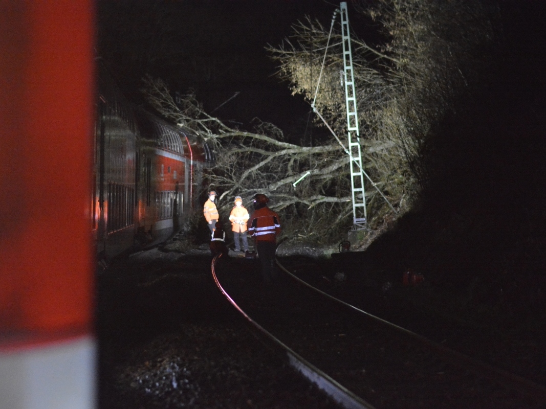 Ein vom Sturm umgestrzter Baum lie einen Regionalexpress zwischen Brachbach und Kirchen stranden. (Fotos: tt)