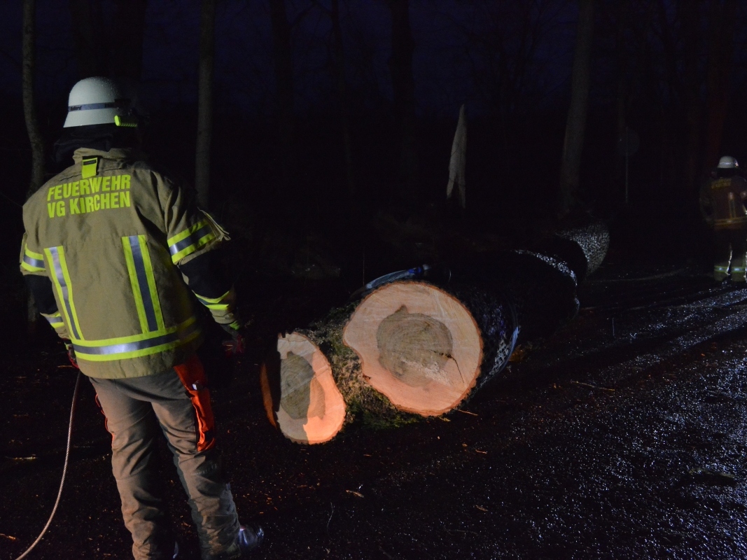 Die Wehr Wehbach und Wingendorf mussten diese Eiche aus dem Weg schaffen. (Fotos: tt)