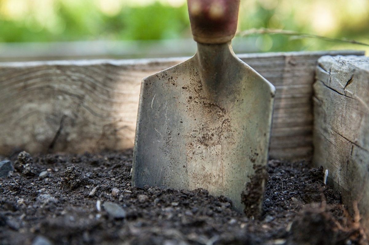 Fruchtbare Bden im eigenen Garten - aber wie? Workshop gibt Auskunft