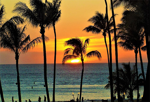 Reise nach Hawaii planen: So gelingt ein angenehmer Aufenthalt