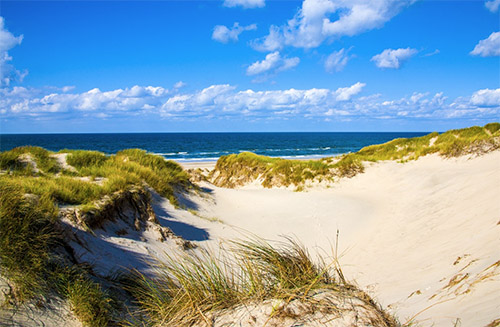 Foto Quelle: pixabay.com / <a href=https://pixabay.com/de/users/sbvguenter-2552856/ target=_blank rel=nofollow>sbvguenter</a>