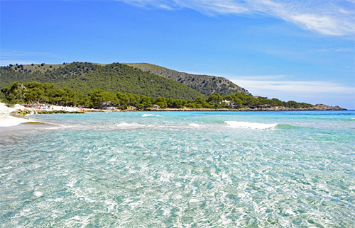 Foto Quelle: pixabay.com / <a href=https://pixabay.com/de/users/lapping-3464230/ target=_blank rel=nofollow>lapping</a>