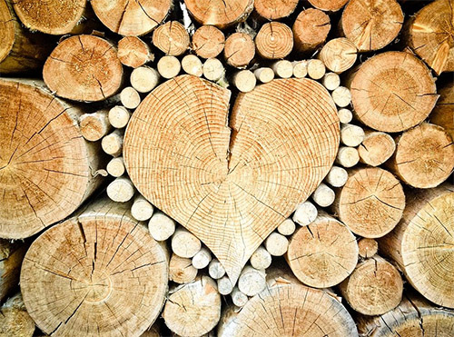 Holz als nachhaltiger Zukunfts-Baustoff