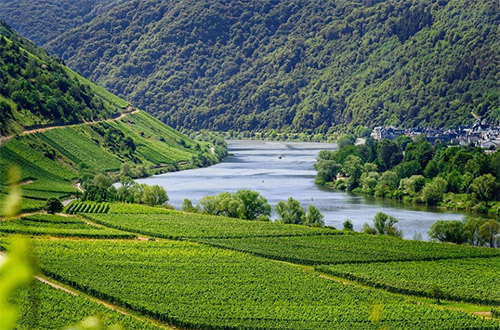 Foto Quelle: pixabay.com / <a href=https://pixabay.com/de/users/tama66-1032521/ target=_blank rel=nofollow>tama66</a>