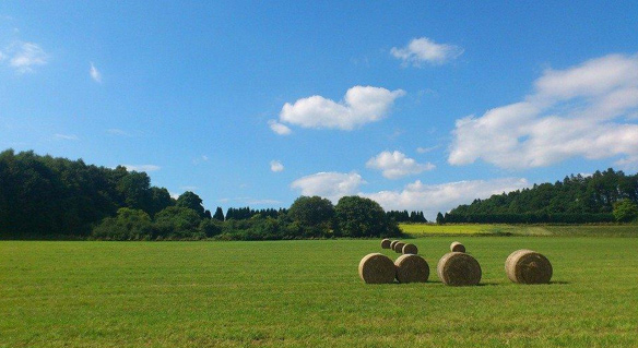 Westerwald  traumhafte Region mit ausgezeichneter Lebensqualitt