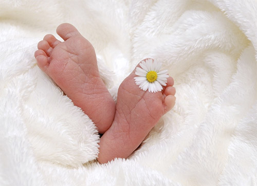 Foto Quelle: pixabay.com / <a href=https://pixabay.com/de/users/kelin-928605/ target=_blank rel=nofollow>kelin</a>