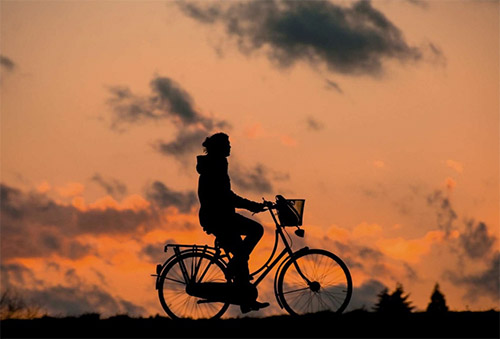 Foto Quelle: pixabay.com / <a href=https://pixabay.com/de/users/renategranade0-869884/ target=_blank rel=nofollow>renategranade0</a>