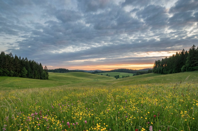 Wohin im Fr�hling? F�nf Orte, die jetzt weniger voll � aber voll lohnend sind