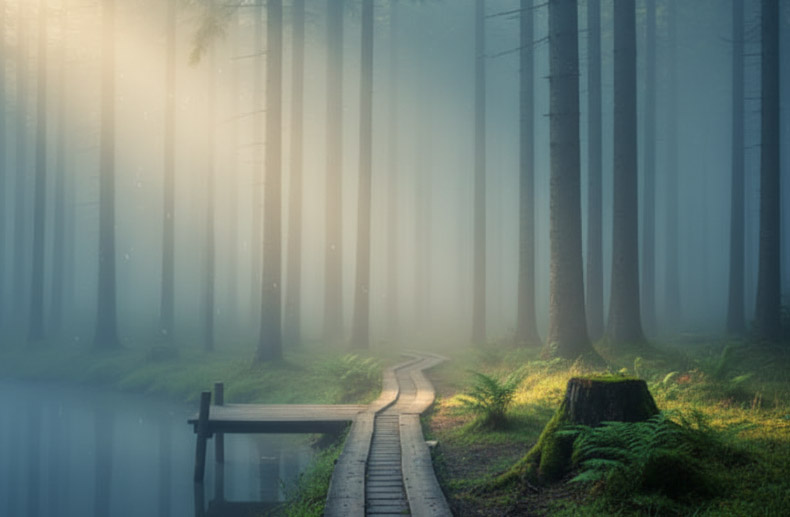 Symbolfoto (KI generiert)