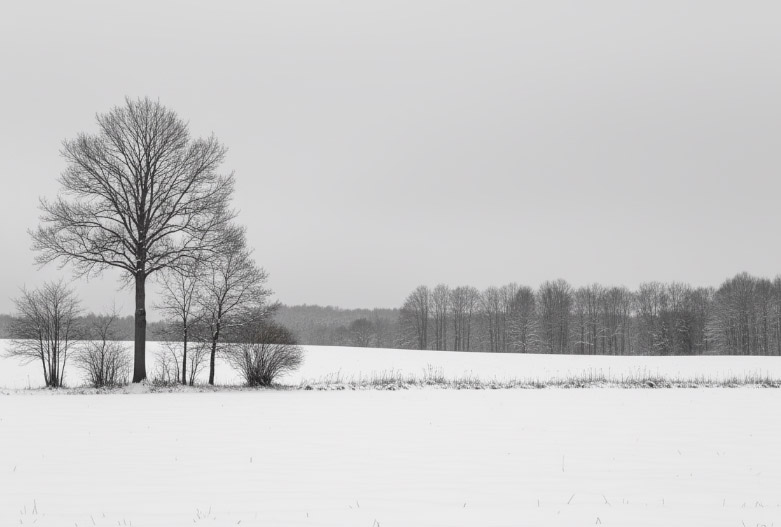 Symbolfoto (KI generiert)