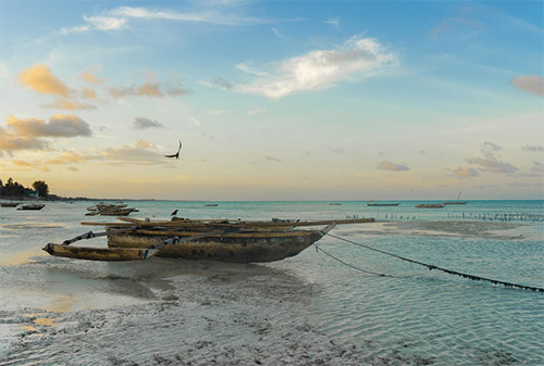 Foto Quelle: pixabay.com / <a href=https://pixabay.com/de/users/klimentgrozdanoski-8514736/ target=_blank rel=nofollow>klimentgrozdanoski</a>