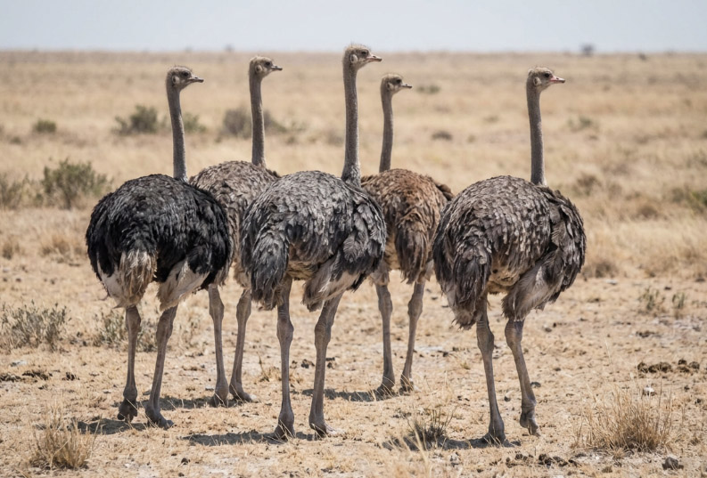 Symbolfoto (KI generiert)