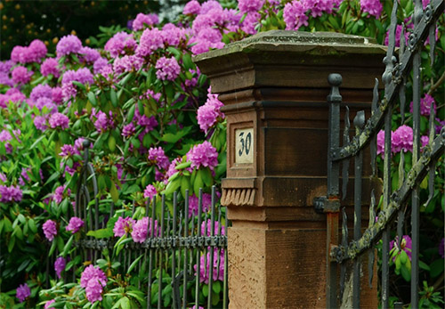 Foto Quelle: pixabay.com / <a href=https://pixabay.com/de/users/congerdesign-509903/ target=_blank rel=nofollow>congerdesign</a>