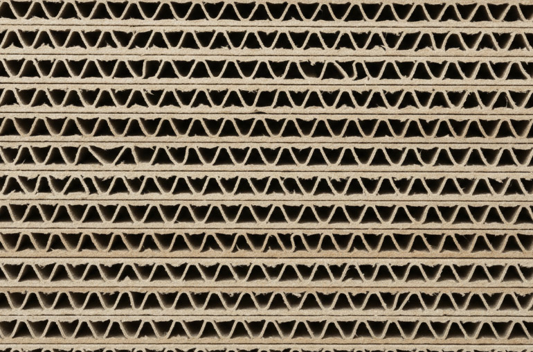 Symbolfoto (KI generiert)